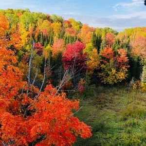 Meet your Posher, Jude